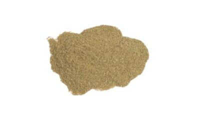 FENNEL SEED POWDER (FOENICULUM VULGARE) 5 LB