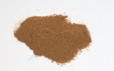 BUCKTHORN BARK POWDER ( RHAMNUS FRANGULA ) 2 OZ