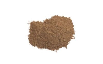 WILD CHERRY BARK POWDER ( PRUNUS SEROTINA ) 1 LB