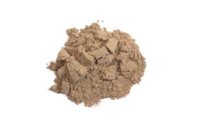 WILD YAM ROOT POWDER ( DIOSCOREA VILLOSA ) 1 LB