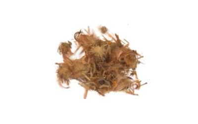 ARNICA FLOWERS WHOLE (HETEROTHICA INULOIDES) 1 OZ