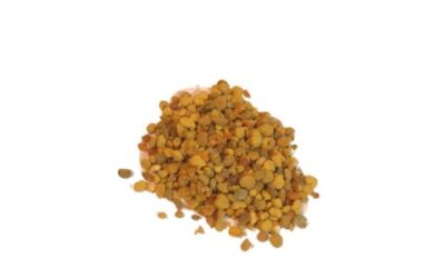 BEE POLLEN GRANULES (APIS MELLIFICA) 1 LB