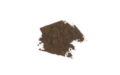 BLACK WALNUT LEAF POWDER (JUGLANS NIGRA) 1 LB