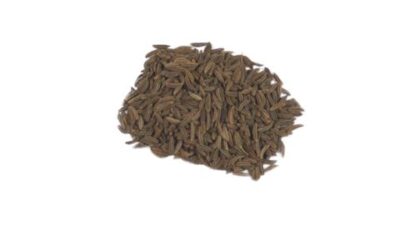 CARAWAY SEED (CARUM CARVI) 2 OZ