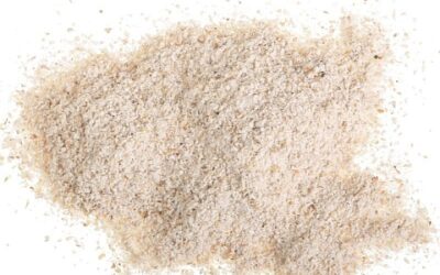 PSYLLIUM HUSK (PLANTAGO) POWDER 2 OZ