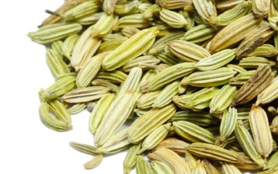 FENNEL SEED (FOENICULUM VULGARE) ORG 1 LB