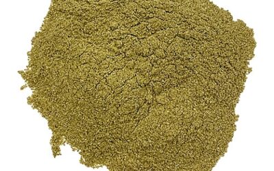 GINKGO (GINKGO BILOBA) LEAF POWDER 1 LB