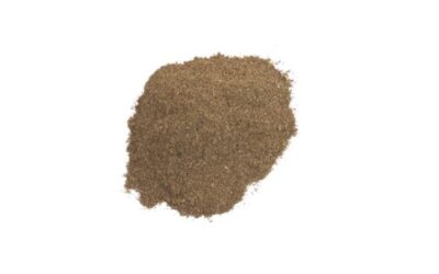 ANGELICA ROOT POWDER (ANGELICA OFFCINALIS) 1 LB