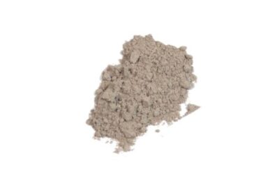 IRISH MOSS POWDER (CHONDRACANTHUS CHAMISSOI ) 1 LB