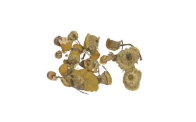 CHAMOMILE FLOWERS ORGANIC  1 OZ