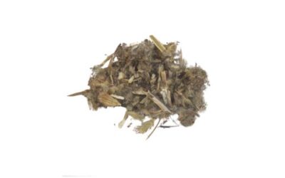 HOREHOUND HERB CUT AND SIFTED ( MARUBIUM VULGARE ) 1 OZ