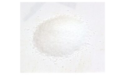 MSM POWDER 1 LB