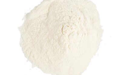 BROMELAIN POWDER 1 LB