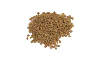 FENUGREEK SEED WHOLE ( TRIGONELLA FOENUM GRAECUM ) 1 LB