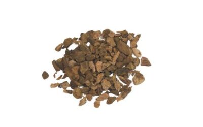 RHUBARB ROOT CUT AND SIFTED ( RHEUM OFFICINALIS ) 1 LB