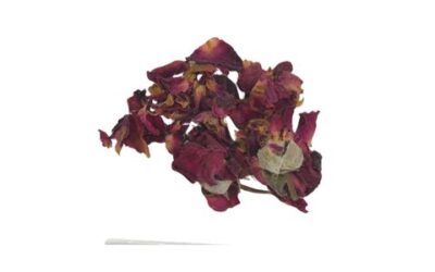 RED ROSE BUDS WHOLE ( ROSA CENTIFOLIA ) 1 LB