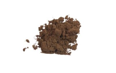 SAW PALMETTO BERRY POWDER ( SERENOA REPENS ) 2 OZ