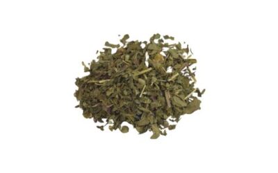 SKULLCAP HERB CUT AND SIFTED ORGANIC ( SCUTELLARIA LATERIFLORA )  1 OZ