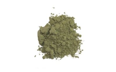 STEVIA LEAF POWDER ( STEVIA REBAUDIANA ) 1 LB