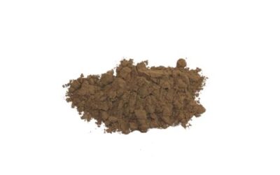 VALERIAN ROOT POWDER ORG ( VALERIANA WALLICHII ) 2 OZ