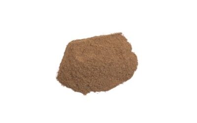 WHITE OAK BARK POWDER WILD CRAFTED ( QUERCUS ALBA ) 1 LB