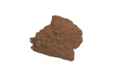 WHITE WILLOW BARK POWDER ( SALIXA ALBA ) 1 LB