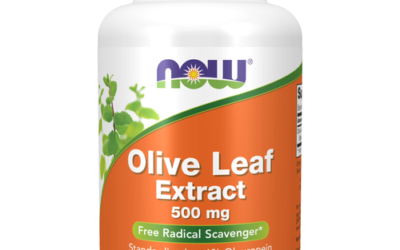 NOW OLIVE LEAF EXT 500MG 120 VCAPS