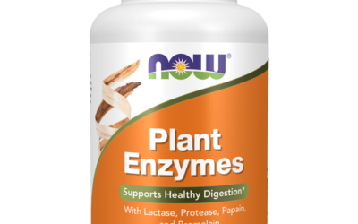 NOW PLANT ENZYMES 120 VCAPS