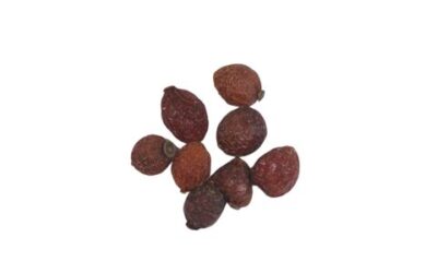 ROSE HIPS SEEDLESS CUT AND SIFTED ORGANIC ( ROSA CANINA ) 2 OZ