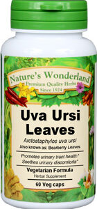 NWD UVA URSI LEAVES 60 VCAPS 625MG