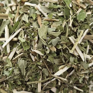BUGLEWEED
