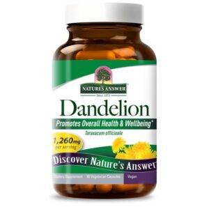 DANDELION ROOT 90 VCAPS