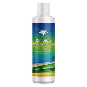 OXYLIFE COLLODIAL MINERALS PLUS 16 OZ