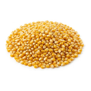 Corn Whole Non-GMO Organic 2 lb