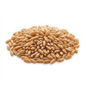 Spelt Berries Organic 5 lb