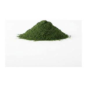 Kale Powder 4 oz
