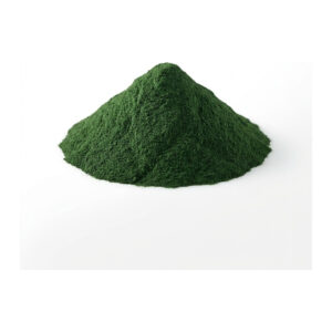 Spinach Powder 4 oz