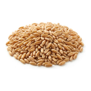 Spelt Berries Organic 2 lb