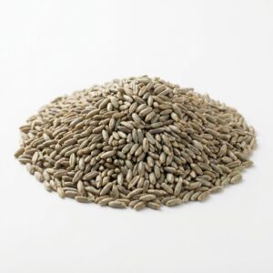 Rye Berries Non GMO Organic 2 lb