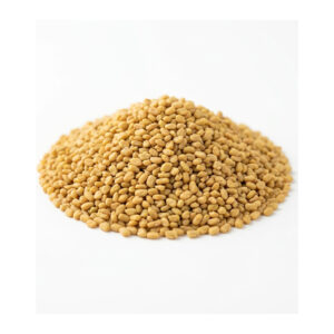 Organic Alfalfa Sprouting Seeds 4 oz