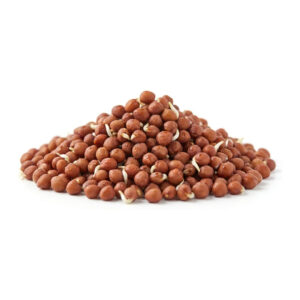 Radish Sprouting Seeds 4 oz