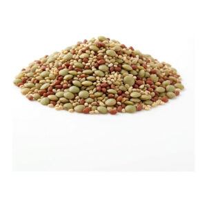 Sandwich Mix Sprouting Seeds 4 oz
