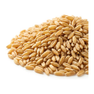 Kamut Organic 2 lb