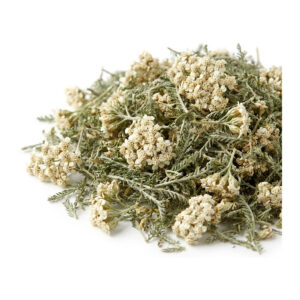 Yarrow Flower, Cut & Sifted, Organic 2 oz