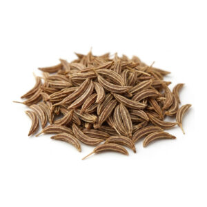 Caraway Seed Whole 1 lb