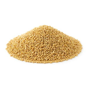 Alfalfa Sprouting Seed, Organic 5 lb
