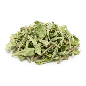 Wild Lettuce Cut & Sifted Organic 1 oz