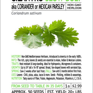 WSC Cilantro Seeds Non GMO 1 G