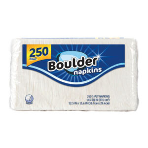 Boulder 1 Ply Napkins 250 Count