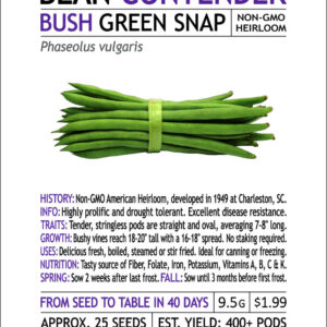 WSC Snap Bush Bean Seeds Non GMO 9.5 G